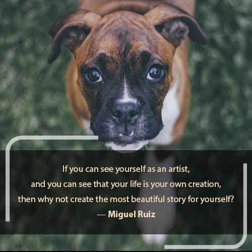 Improve Your Mindset With Positive Thinking