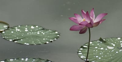 Transform Your Space, Transform Your Life: The Science of Motivation